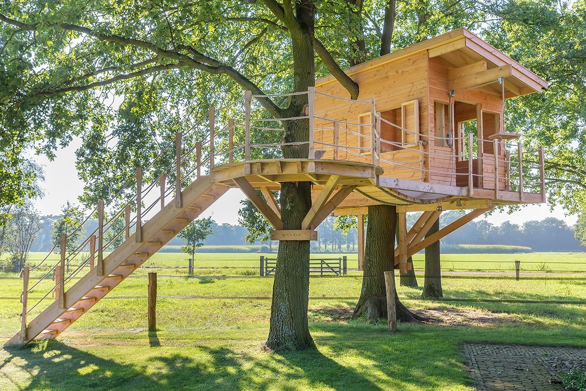 8 Tips for Building Your Own Backyard Treehouse - Future Tranquility